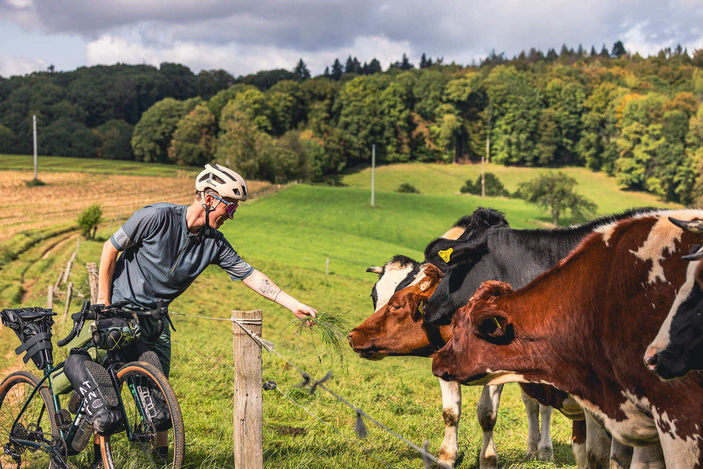 Stephan Peters mit den Kühen