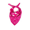 Explore Bandana - Pink